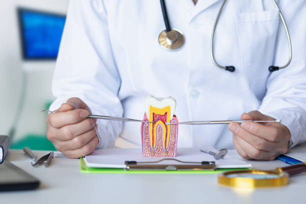 Best Emergency Gum Treatment in Finneytown, OH